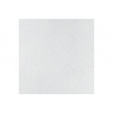 ARMSTRONG RETAIL NG 600 x 600 x 12 мм